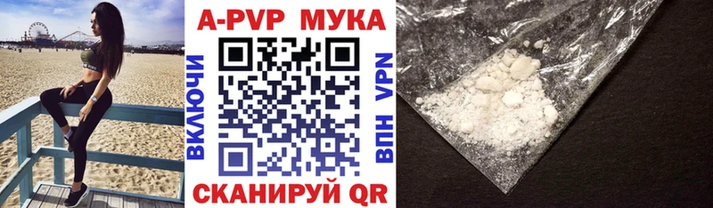 APVP СК  Новороссийск 