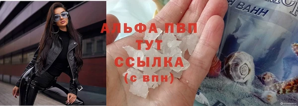 СК Гусиноозёрск