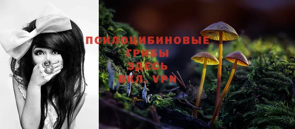 меф Гусь-Хрустальный