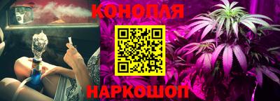 сатива Нарткала