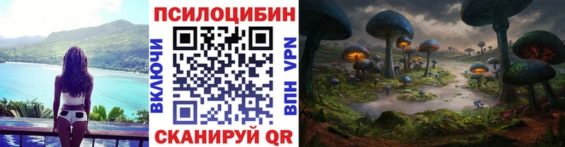 omg ссылки  магазин    Новороссийск  Псилоцибиновые грибы мицелий 