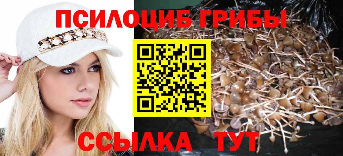 Галлюциногенные грибы Magic Shrooms  Вход с VPN  Новороссийск 