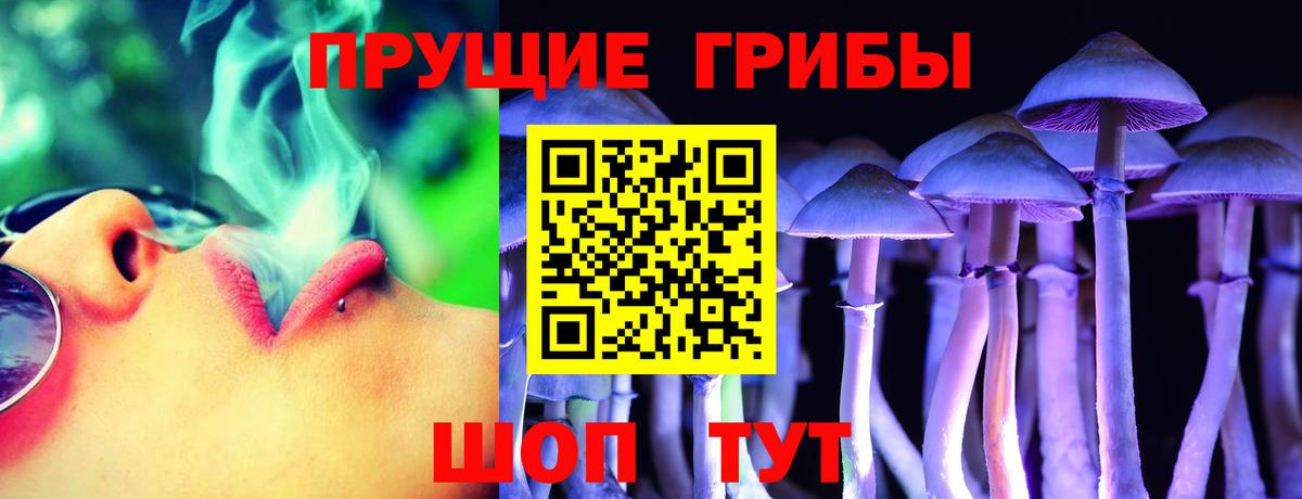 Галлюциногенные грибы мицелий Новороссийск